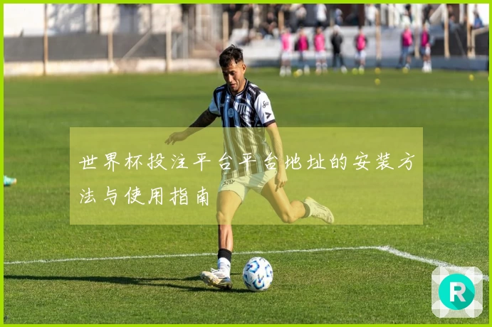 世界杯投注平台平台地址的安装方法与使用指南