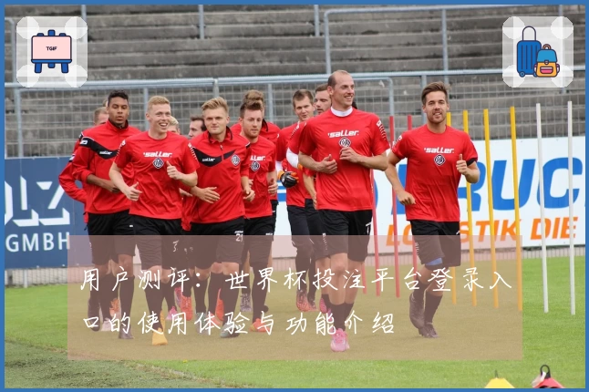 用户测评：世界杯投注平台登录入口的使用体验与功能介绍