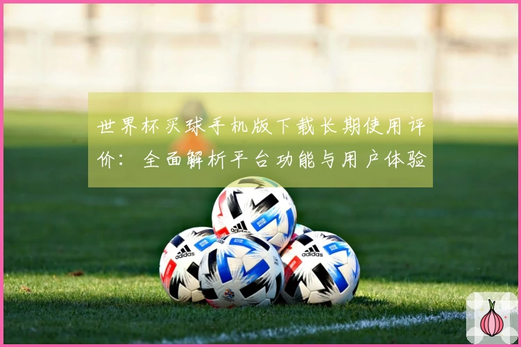 世界杯买球手机版下载长期使用评价：全面解析平台功能与用户体验