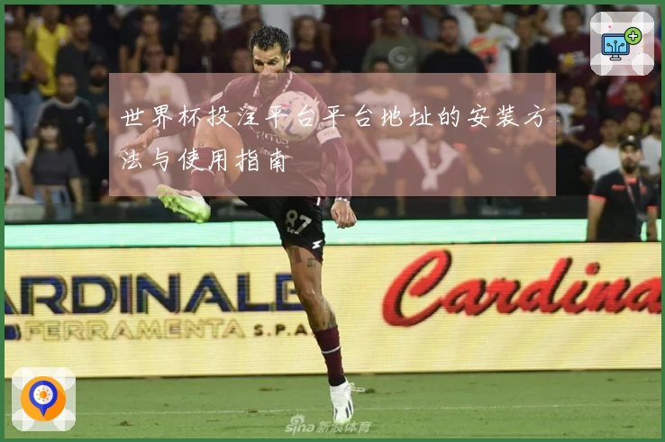 世界杯投注平台平台地址的安装方法与使用指南