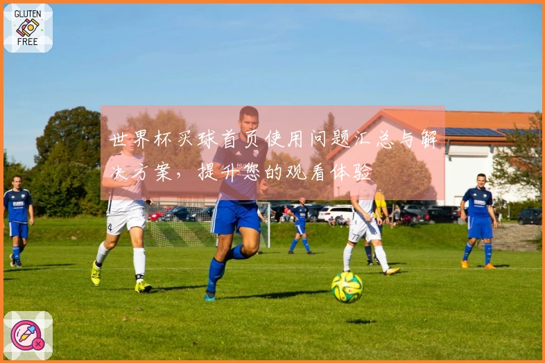 世界杯买球首页使用问题汇总与解决方案，提升您的观看体验