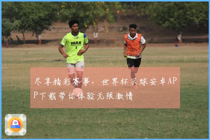 尽享精彩赛事，世界杯买球安卓APP下载带你体验无限激情