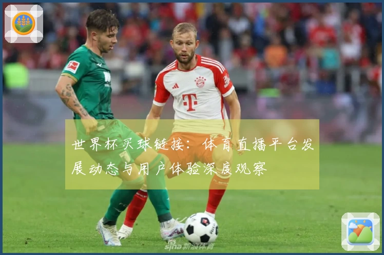 世界杯买球链接：体育直播平台发展动态与用户体验深度观察