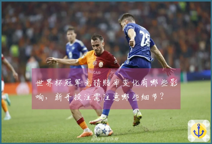 世界杯冠军竞猜赔率变化有哪些影响，新手投注需注意哪些细节？