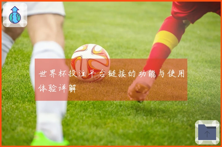 世界杯投注平台链接的功能与使用体验详解